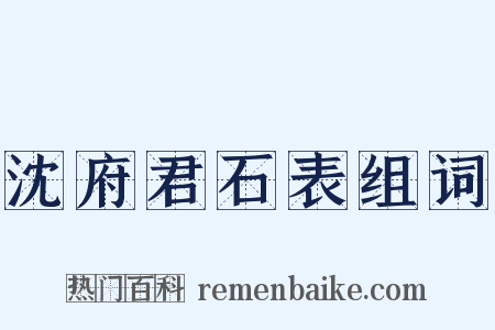 沈府君石表组词是什么意思的图片
